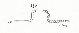 Snake meets Robo-Snake